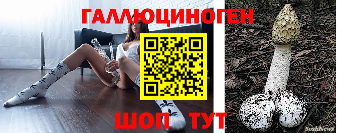 Надым  Псилоцибиновые грибы MAGIC MUSHROOMS  Вход с VPN  Галлюциногенные грибы Psilocybine cubensis 